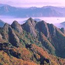 옥룡GS마켓 이미지