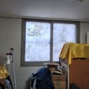 국제백양 이미지