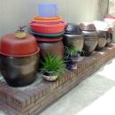 물고기 식당 이미지