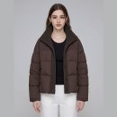 라비즈