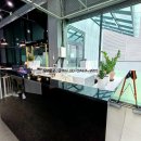 푸젤 강아지유치원 이미지