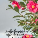 3월23일...3월의 네번째 월요일~오늘도 출석~~^^🌸💕🎶 이미지