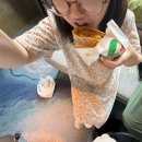 빌리브인더시티남산 | 옌타이 여행기 (상)