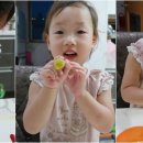 노른자PC 이미지