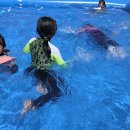 2025.7.26. 초등부 신나는 여름 신앙캠프 이미지