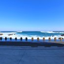 비다펠리즈 이미지