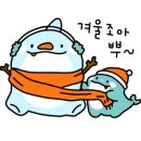 회애반하다