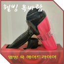 옥바람헤어드라이기(BLJH-0301)베스트로지스