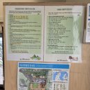 덕신야영장 | 텐트 없이 캠핑하기 [남해 덕신야영장 솔막 D6 후기]