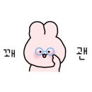현애견 이미지