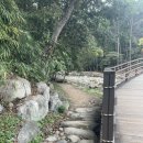 장산로 | 장산 대천공원 옥녀봉 등산 후기 | 석태암 용호동할매팥빙수까지 :)