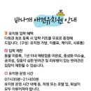 바나개 애견유치원 호텔 이미지