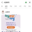소담화개