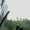 나의 반짝 그루밍 이미지