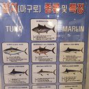 우리동네참치정육점 이미지
