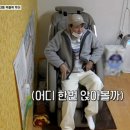 개심경로당 티스토리