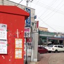 구구왕 이미지