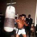 다윗복싱다이어트 이미지