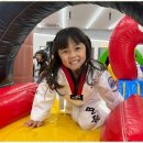 용인대 영웅태권도 이미지