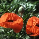 마약 및 향정신성 약물 중독 예방 교육 이미지