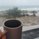 (주)에듀펫 이미지