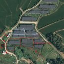 윤 태양광발전소 이미지