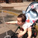 도요새어린이공원 이미지