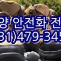 동명이앤지