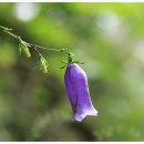 금강고을 이미지