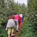 평창농원 | [후기] 평창 천지애농원-고랭지 청정 평창사과