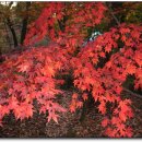 만남-행복한꿈 이미지