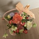 조은꽃방 | 카페민/사직 일해옥/등촌샤브칼국수 명륜점/부산대 논피니토/카라꽃방/연산동 진미원/사직야구장 롯데 응원