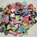 초롱하우스 이미지