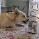 엠엔바이오 이미지