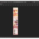 패스트캠퍼스 환급챌린지 29일차 : 한 번에 끝내는 디자인 툴 초격차 패키지 2025 SIGNATURE+ 강의 후기