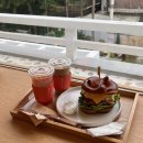 래빗가든 이미지