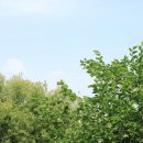 금호강7 이미지