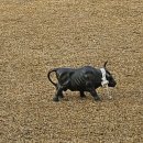 건국축산 | 스카트ku골프파빌리온의 후기와 이모저모