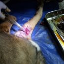 구담가축병원 이미지