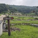 한국천주교 188성지순례 2차 (의정부교구 성 남종삼 가족 묘-2026.08.01) 이미지