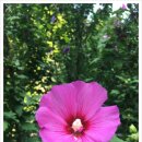 어부와아들 이미지