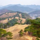 [울산출발] 9월20일(일) 고령 대가야 &amp; 창녕 우포늪 문화역사탐방 이미지