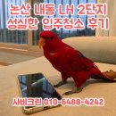 정림로65번길 | 논산입주청소 내동 LH 2단지아파트 곰팡이제거 이사청소 후기