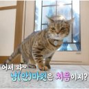 대리농장 이미지