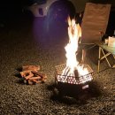 자작나무 | 캠핑장작 추천 우림컴퍼니 자작나무 후기