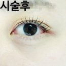태평가든 | 스튜디오 가든｜태평역 속눈썹펌 케라틴 클리니펌 솔직 후기