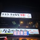 꼬꼬가 돌아왔닭. 옛통