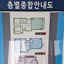 레인보우영동도서관_일반자료실 네이버블로그