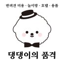 까미애견샵 이미지