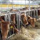 농민축산 이미지